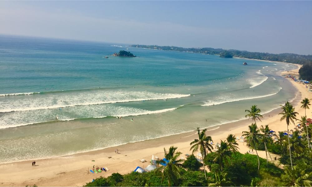 “香りの原点を訪ねる”、スリランカウェルネスツアー03