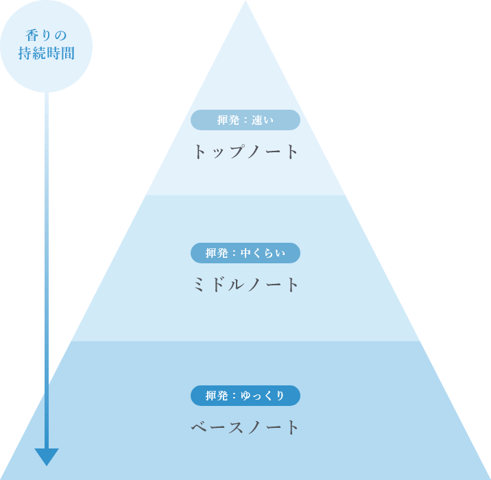 アロマテラピー基本の き 自然 健康 楽しさ を提案するライフスタイルカンパニー 生活の木