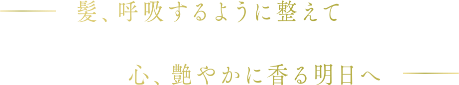 髪、呼吸するように整えて　心、艶やかに香る明日へ