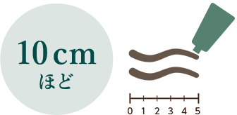 10cmほど