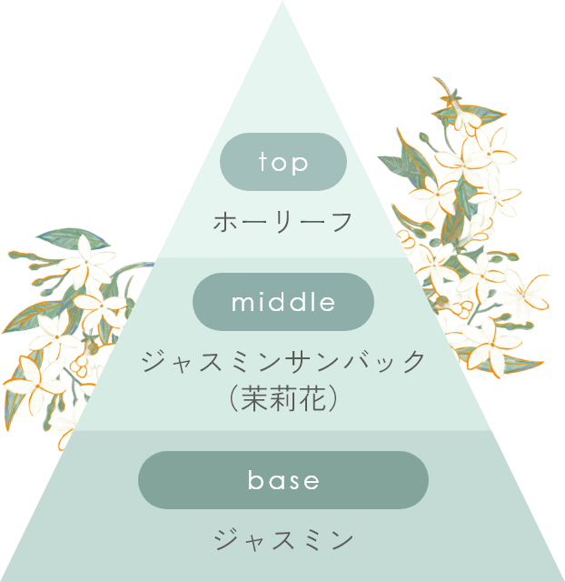 top ホーリーフ、middle ジャスミンサンバック（茉莉花）、base ジャスミン