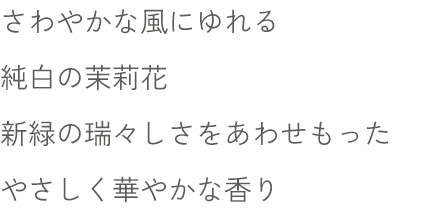 さわやかな風にゆれる 純白の茉莉花 新緑の瑞々しさをあわせもった やさしく華やかな香り