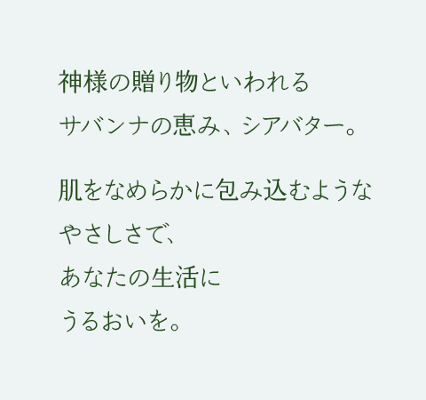 神様の贈り物といわれるサバンナの恵み、シアバター。肌をなめらかに包み込むようなやさしさで、あなたの生活にうるおいを。