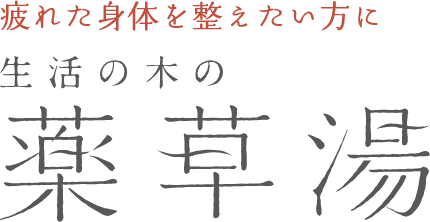 疲れた身体を整えたい方に 生活の木の薬草湯