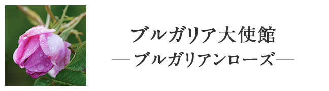 ブルガリア大使館 —ブルガリアンローズ—