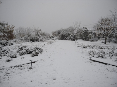 ガーデン2016年11月冬C.JPG