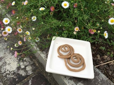 うずまき線香づくりのご案内 薬香草園 生活の木 ハーブやアロマなど自然の恵みを活かし ウェルネス ウェルビーイングなライフスタイルをお届け