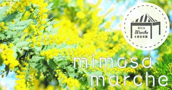mimosa 枠線サイズ調整パターン.jpg