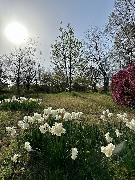 IMG_0433.JPEG