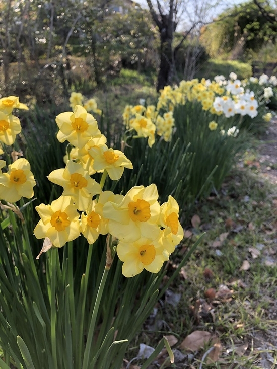 IMG_0435.JPEG