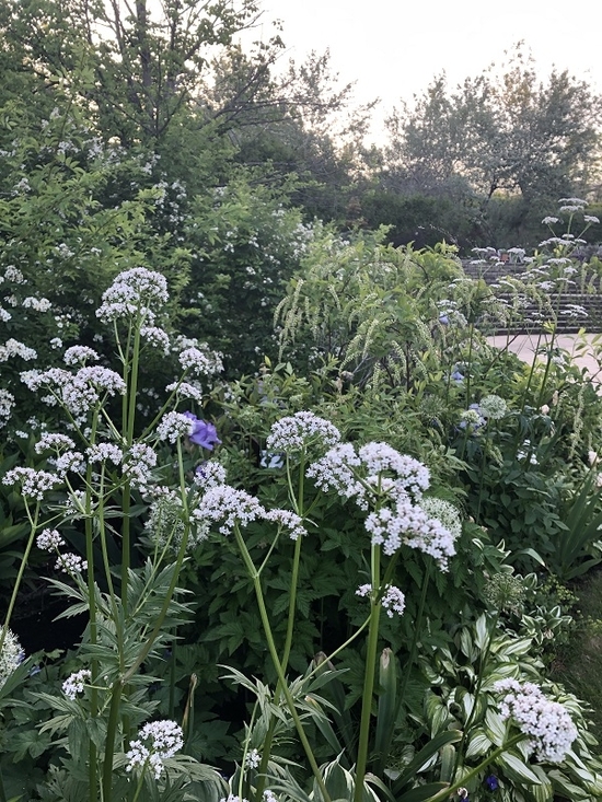 IMG_0562.JPEG