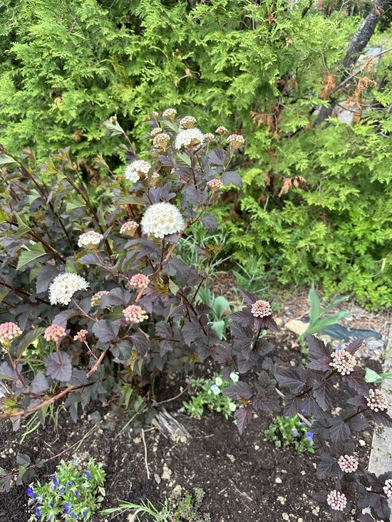 IMG_1362.JPEG