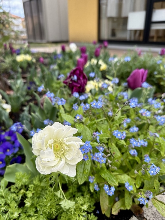 IMG_9855.JPEG