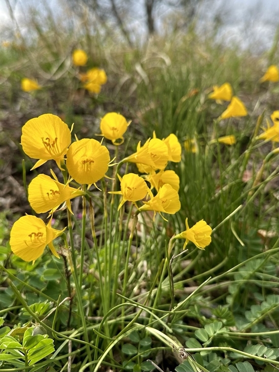 IMG_9927.JPEG