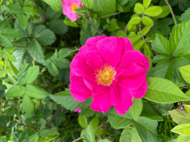 https://www.treeoflife.co.jp/garden/news/images/0ca7820d5131858c7f007ac6dc91071fa1e74fde.jpg