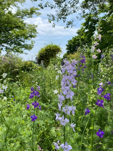 https://www.treeoflife.co.jp/garden/news/images/167c20753916e35b92e724142e7940a61aec9e7a.jpg