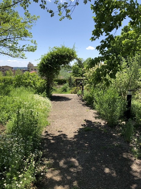https://www.treeoflife.co.jp/garden/news/images/3a27885324d5871c2bc01c3d9846b0b297aabcff.jpeg