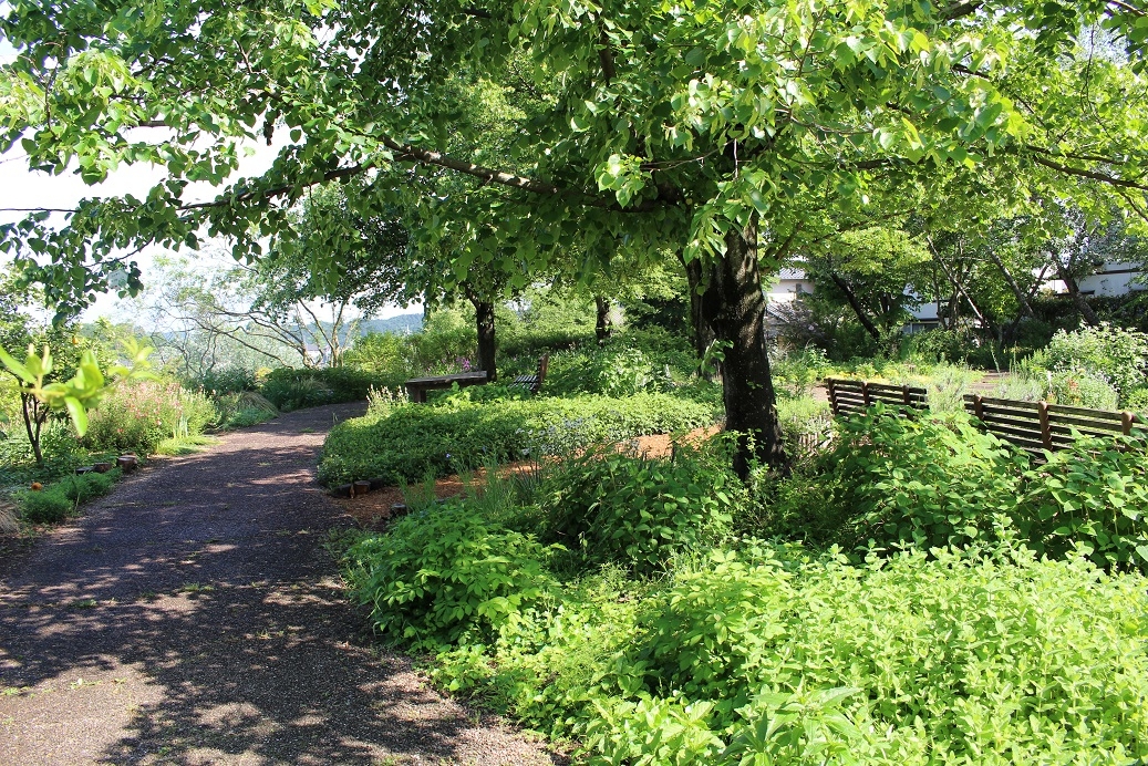 https://www.treeoflife.co.jp/garden/news/images/5b508c15394e4ec61a05734aa18d76f1dcd7bfa9.jpg