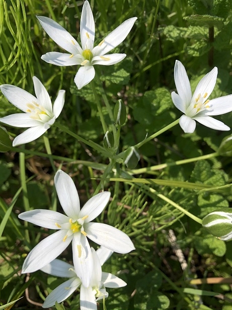 https://www.treeoflife.co.jp/garden/news/images/912aab97cc12e7319764880b6045f9f4cf84b8ca.JPEG