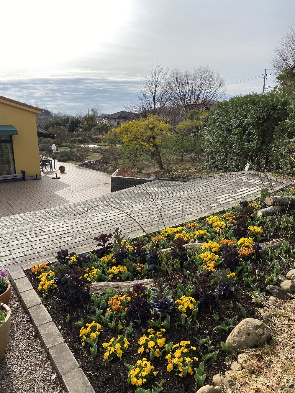 3月のハーブガーデン｜薬香草園｜生活の木：ハーブやアロマなど自然の