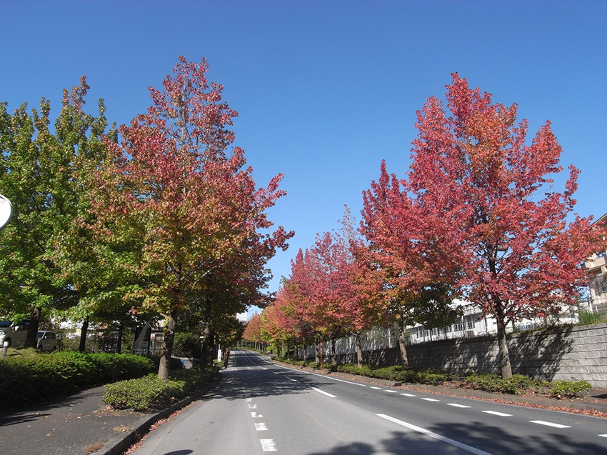 https://www.treeoflife.co.jp/garden/news/images/M0011738.JPG