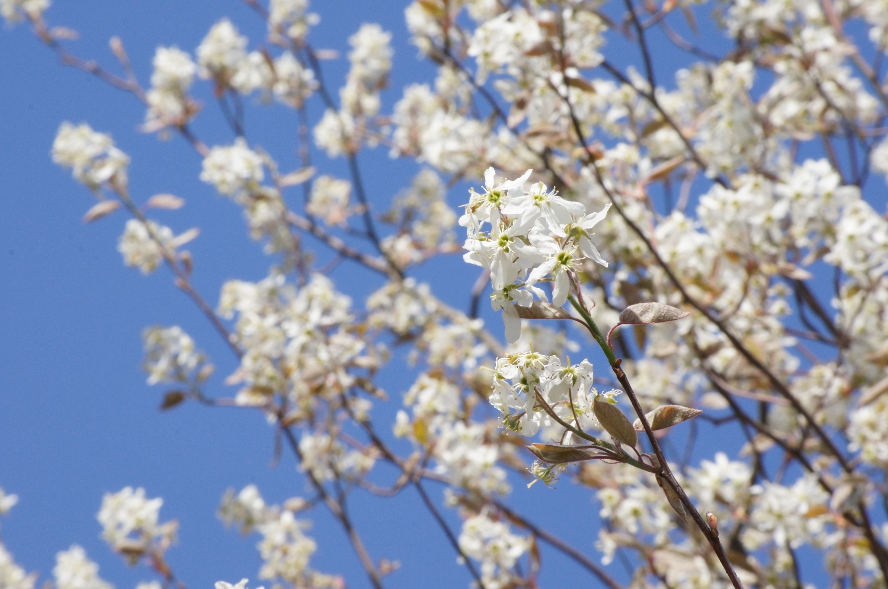 https://www.treeoflife.co.jp/garden/news/images/e53b5220ef1eba8b9cf067e11169f6a062c65ad7.jpg