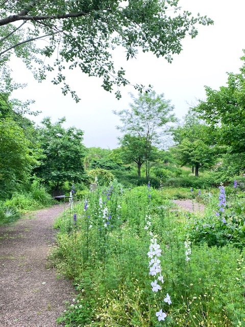 https://www.treeoflife.co.jp/garden/news/images/f32b254909321a260c7c2004826633b443bd80e8.jpeg
