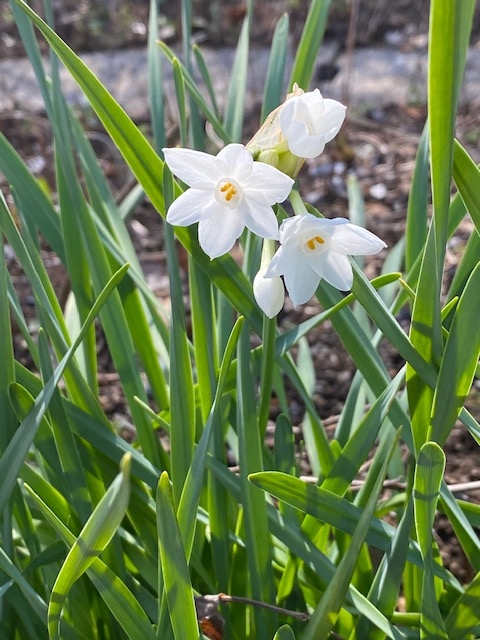 https://www.treeoflife.co.jp/garden/news/images/image-14.jpg