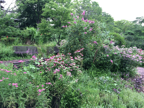 https://www.treeoflife.co.jp/garden/news/images/zennkei.png