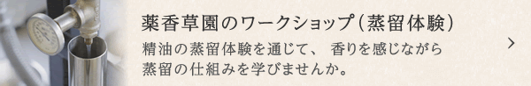 薬香草園のワークショップ（蒸留体験）