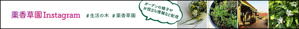 薬香草園Instagram ガーデンの様子やお役立ち情報などを配信