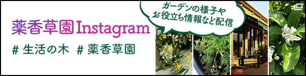 薬香草園Instagram ガーデンの様子やお役立ち情報などを配信