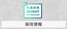 採用情報
