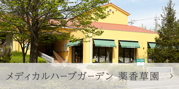 メディカルハーブガーデン 薬香草園