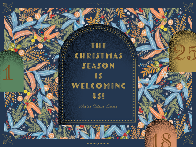 THE CHRISTMAS SEASON IS WELCOMING US! Winter Citrus Series