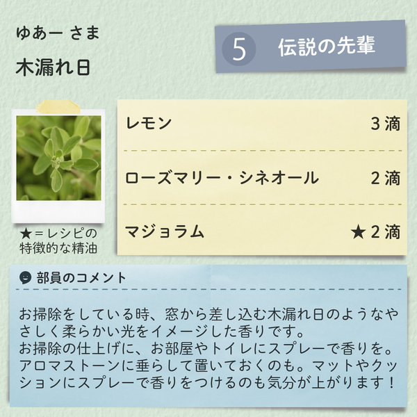 レシピブロック_250410_9_ゆあー_木漏れ日.jpg