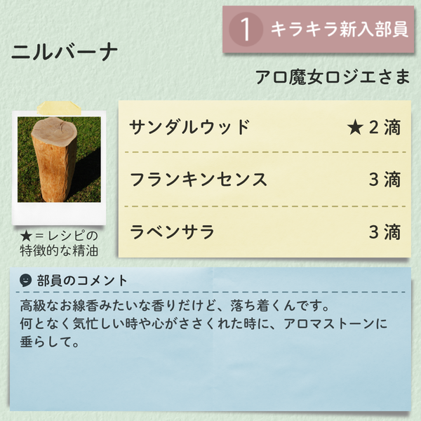 アロ魔女ロジエさま.png