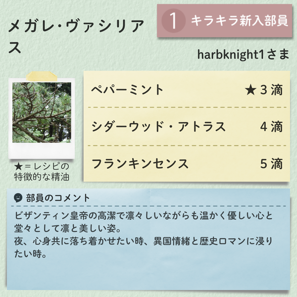 harbknight1.png