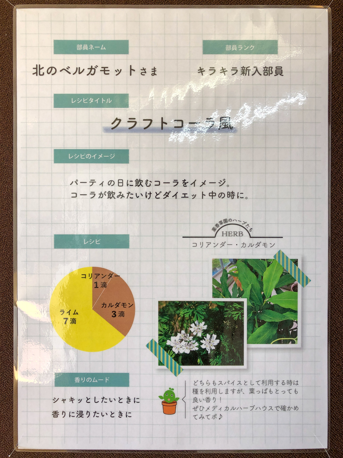 https://www.treeoflife.co.jp/library/aromabu/images/poster_9_kitanobergamot.jpg