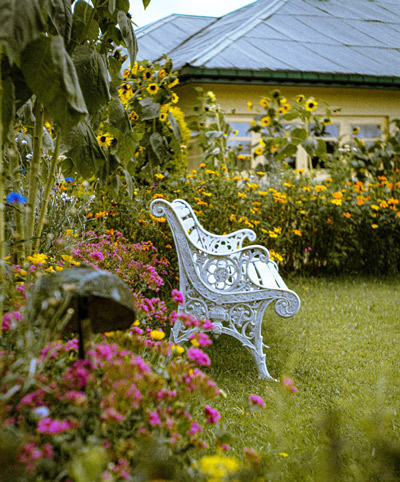 AprilBloom_chair_w400.jpg