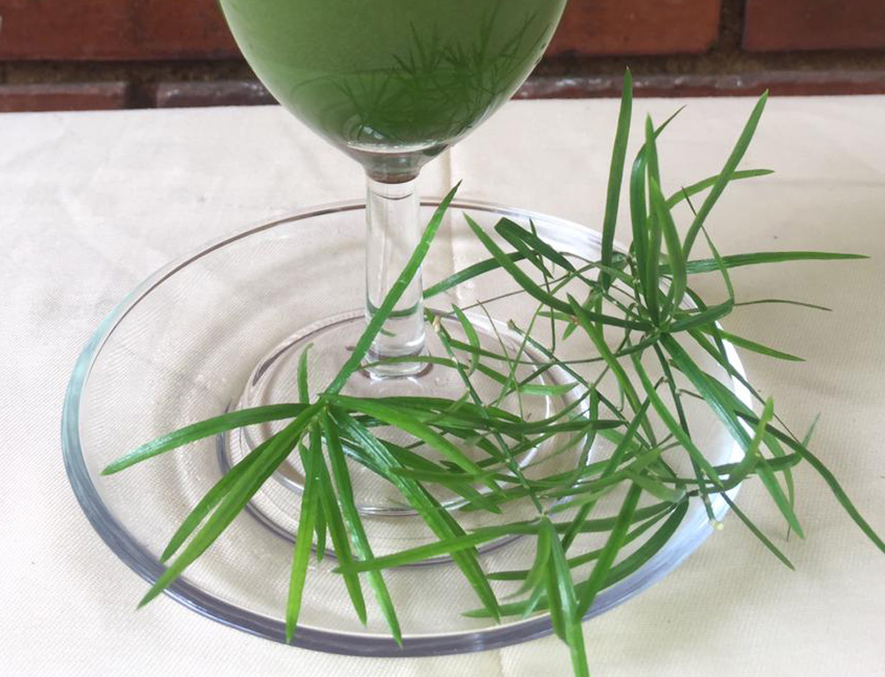 アダプトジェニックハーブリスト