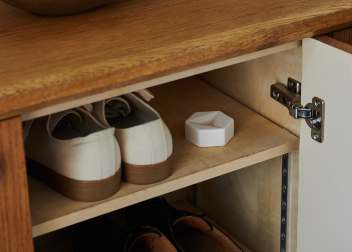 【MT】記事内挿入画像（500×700） (3).png