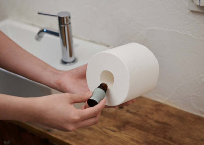 【MT】記事内挿入画像（500×700） (2).png