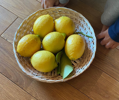 素敵な暮らし‗後半‗lemon_w400-2.jpg