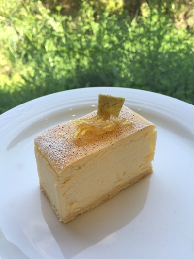 ミント＆レモンのチーズケーキ.JPG