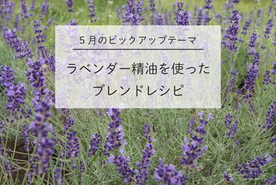 aromaticinteriormv.jpg