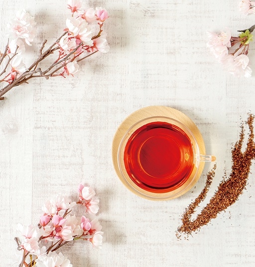 【0325】rooibos_sakura_news.jpg