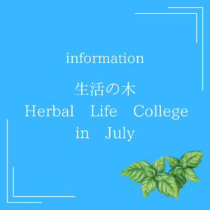 カルチャー7月.png