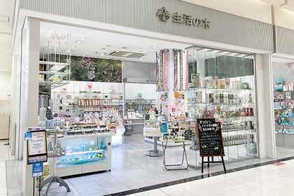 イオンモール浜松志都呂店 店舗 生活の木 ハーブやアロマなど自然の恵みを活かし ウェルネス ウェルビーイングなライフスタイルをお届け イオンモール浜松志都呂店 店舗 生活の木 ハーブやアロマなど自然の恵みを活かし ウェルネス ウェルビーイングなライフスタイルをお届け
